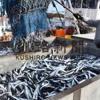 海峡サンマ１８８㌧水揚げ(2022-11-04)