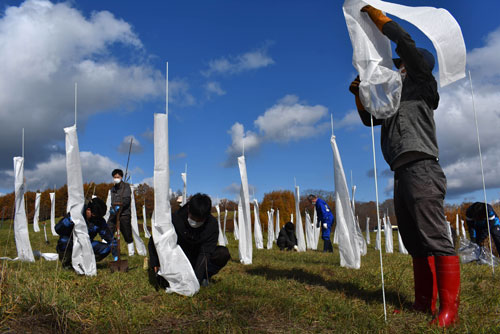 初の3団体合同植樹 農業、漁業、環境保全連携(2022-11-10)