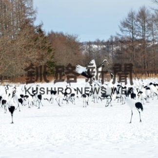タンチョウ高病原性確認で給餌場や靴底消毒徹底(2022-11-30)