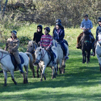 乗馬で大自然満喫　官民連携しツアー商品開発(2022-11-20)