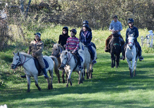 乗馬で大自然満喫 官民連携しツアー商品開発(2022-11-20)