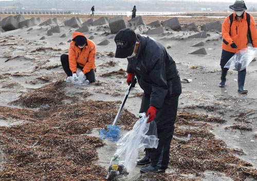 子供に豊かな自然残す 根室ワイズユースの会 春国岱で一斉清掃(2022-11-17)