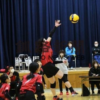 釧路ＡＴ１優勝　小学バレー、芦野にストレート勝ち(2022-11-15)