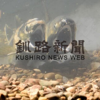 標津サーモン科学館　サケの産卵立ち会って(2022-11-12)