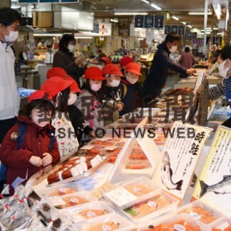 魚介類に興味津々　興津小児童、和商市場訪問(2022-11-15)
