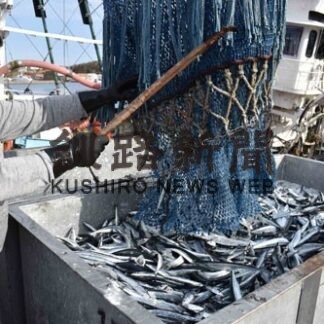 海峡サンマ水揚げ好調　道東沖棒受け網漁、今季最多の７０３㌧(2022-11-08)