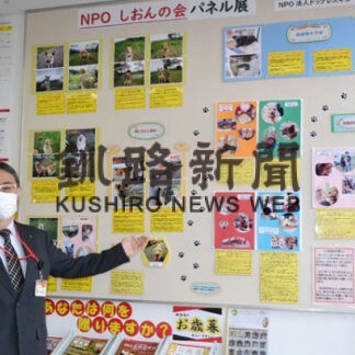 犬保護活動、様子紹介　茶内郵便局でパネル展(2022-11-24)