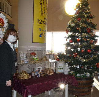 コンキリエにＸマスツリーお目見え　金のカキ殻当てクイズも　(2022-11-27)