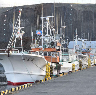 安全操業タコ漁スタート　２カ月遅れ、根室から７隻(2022-12-10)