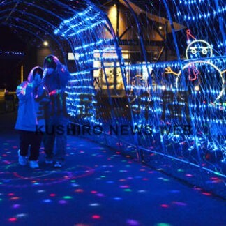 クリスマス幻想的_1(2022-12-03)