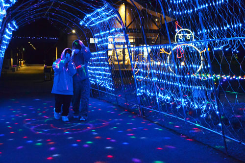 クリスマス幻想的_1(2022-12-03)