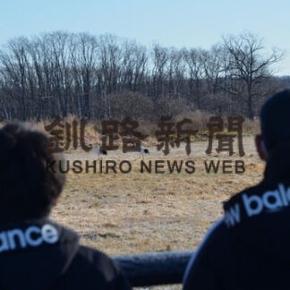 タンチョウ越冬分布調査　鳥インフル警戒の中(2022-12-03)