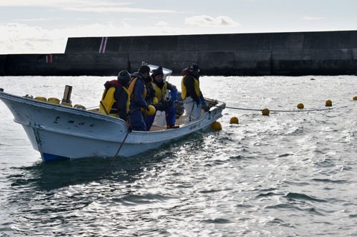 釧路港でコンブ養殖試験 ブルーカーボン効果を実証(2022-12-08)