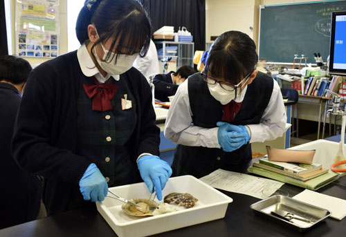 標津高生 地場産業学ぶ(2022-12-08)