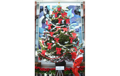 クリスマス幻想的(2022-12-03)