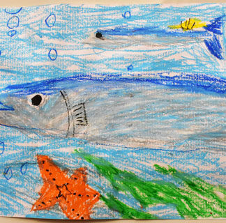 おさかな大賞根室こども絵画　最優秀賞に岡田莉々子ちゃん_1(2022-12-10)