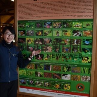 希少な昆虫５７種６２枚　野付半島ネイチャーセンター、１枚のパネルで展示(2023-01-11)