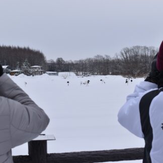 タンチョウ「数戻ってきた」　道の分布調査(2023-01-25)