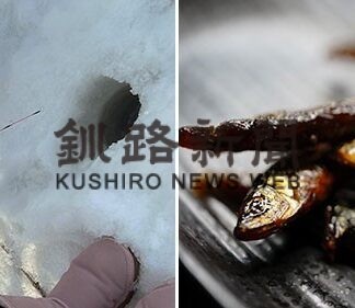 えっ！釘を食べるの!? 関西の春の風物詩「いかなごの釘煮」_2(2023-03-01)