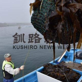 釧路管内海面漁業水揚げ２３２億円　前年比１１％増、コンブ数量は不振(2023-02-02)