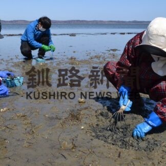 厚岸の「アサリ掘り」返礼品に　体験申し込みも開始(2023-03-17)