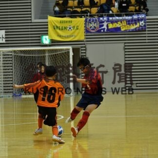 羅臼・標津Ａなど頂点に　フットサルＵ－１０フェス(2023-03-21)