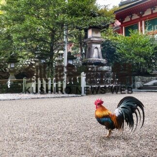 奈良県天理市へ！釧路のご縁で繋がる初めての天理_3(2023-04-01)