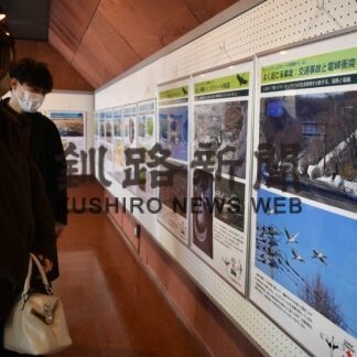 タンチョウ、マリモ保護活動紹介　博物館でパネル展(2023-03-06)