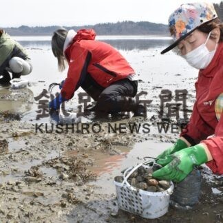 大粒アサリ 潮干狩り満喫　体験ツアー(2023-04-08)