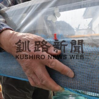 早くも春の使者到来　工藤さん宅にモンシロチョウ(2023-04-05)