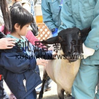 春の動物園まつり始まる　ヒツジの毛刈り、家族連れでにぎわう(2023-04-30)