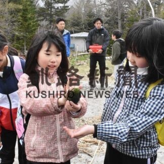 阿寒湖児童、マリモ観察会で生態や保護学ぶ(2023-05-16)