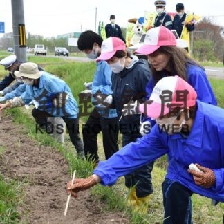 ヒマワリに事故防止願い　国道沿いやこども園で種植え(2023-05-28)