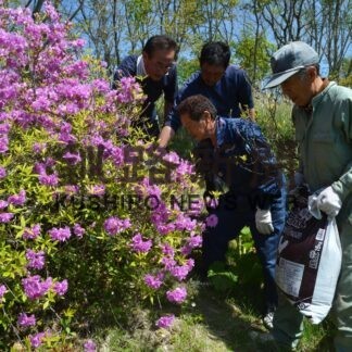岬の森東山公園で花壇整備に汗　白糠ライオンズク(2023-05-28)
