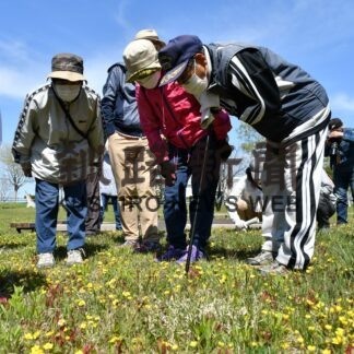 春の草花を観察　市民ら春採公園散策(2023-05-22)