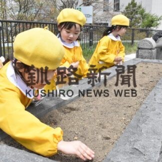 キンレンカ大きく育て　園児ら富士見坂で種まき(2023-05-17)