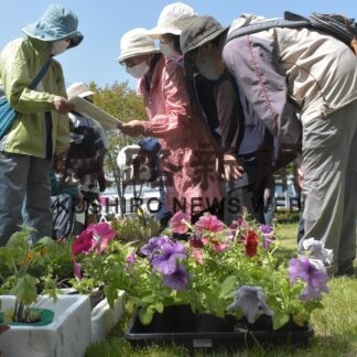 お気に入りの花や苗交換(2023-05-30)