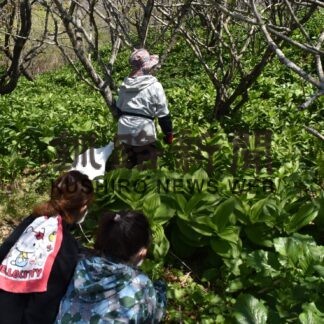 特定外来種防除へ奉仕活動「楽しい」(2023-05-16)