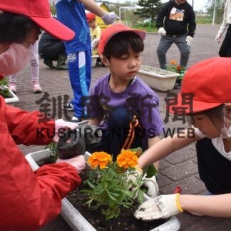 大楽毛花いっぱいに　児童らプランターに苗移植(2023-05-25)