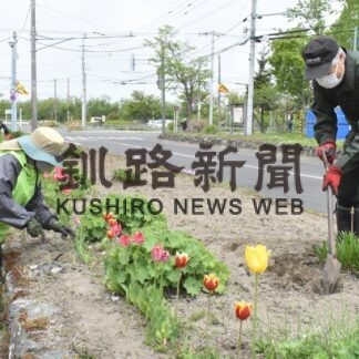 花の苗植え前に歩道花壇土起こし　美原２丁目町内会(2023-06-02)