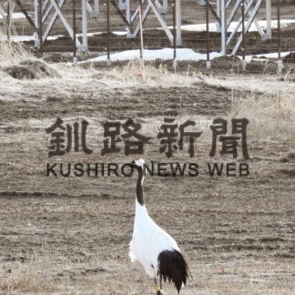 再エネ施設 関心広まる　市議会で一般質問も【根室】(2023-06-15)