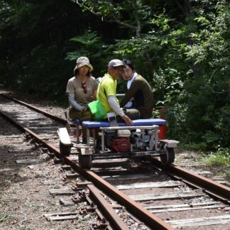 森の中 トロッコ疾走　別海の廃線跡活用【別海】(2023-07-28)