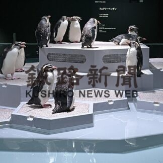 ＡＯＡＯＳＡＰＰＯＲＯ　２０日オープン【札幌】(2023-07-14)