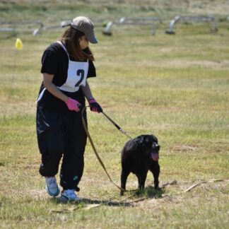 鋭い嗅覚で捜査、捜索　嘱託警察犬審査会【釧路市】(2023-07-06)