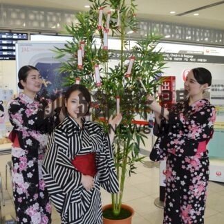 ササに願いの短冊飾る　釧路空港ＪＡＬカウンターに【釧路市】(2023-07-08)