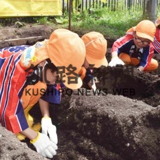 ジャガイモ育って　園児、防火農園で種芋植え【根室】(2023-07-23)