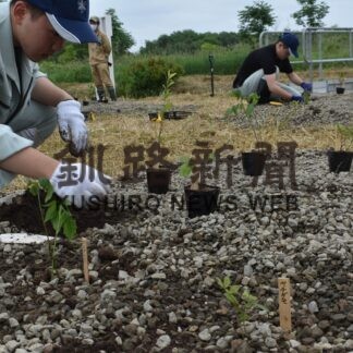 浄化型排水路沿いに８種の苗木１２０本植樹　別海高校酪農経営科【別海】(2023-07-12)