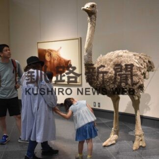 三人三様「いきもの会議」　市立美術館で展覧会【釧路市】(2023-07-16)