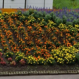 西春別駅前連町　北方領土と日の丸表現した花壇造成【別海】(2023-08-16)