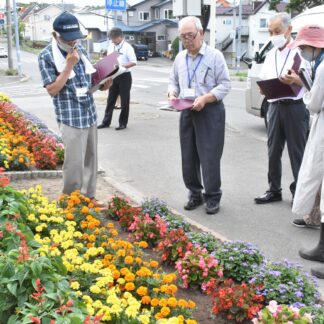 役員ら各花壇回りコンクール審査　１４日に結果発表【釧路市】(2023-08-05)
